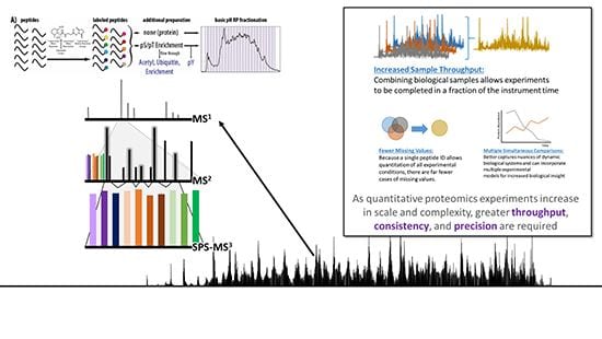 Phenotypic analysis and global proteostasis network assessment by TMT-MS3 proteomics