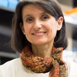 Ana Maria Cuervo, MD, PhD